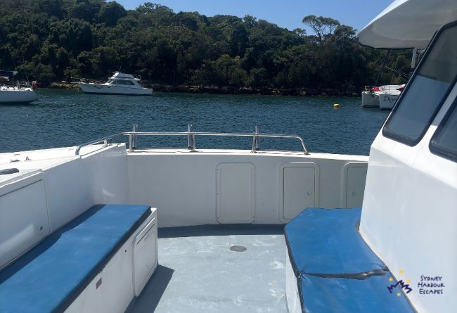 02   Curious George 2026 